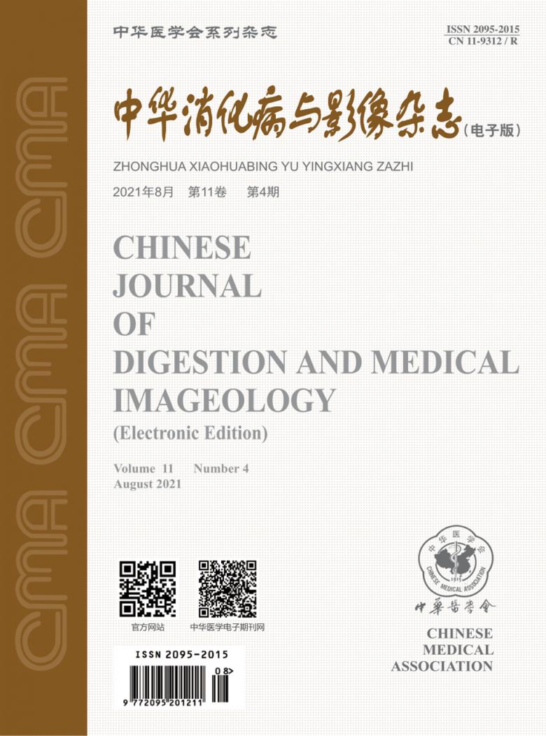 中华消化病与影像杂志封面