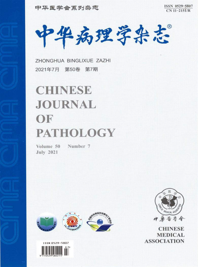 中华病理学杂志封面