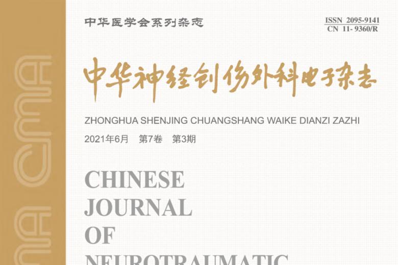 中华神经创伤外科电子