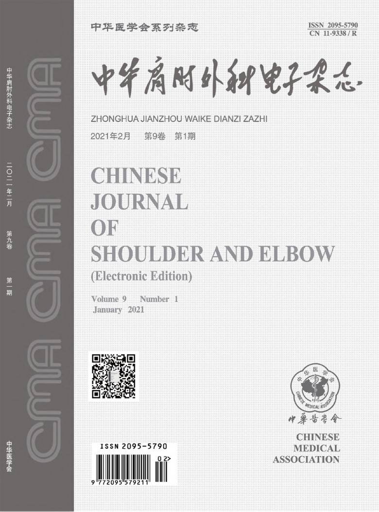 中华肩肘外科电子封面