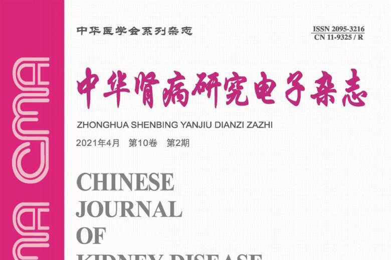中华肾病研究电子