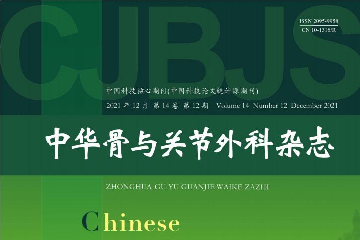 中华骨与关节外科