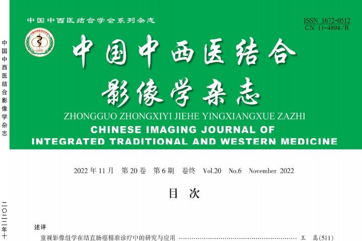 中国中西医结合影像学