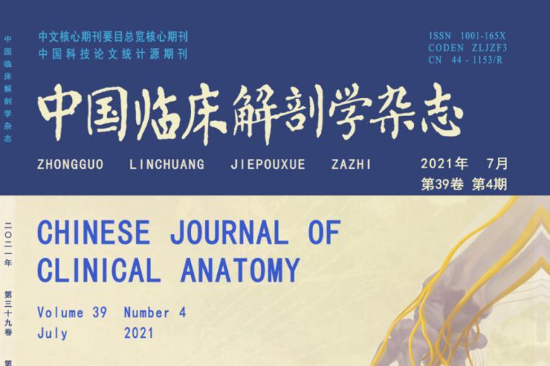 中国临床解剖学