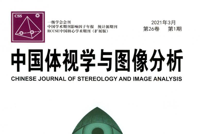 中国体视学与图像分析