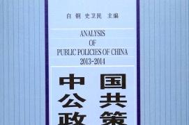 中国公共政策分析