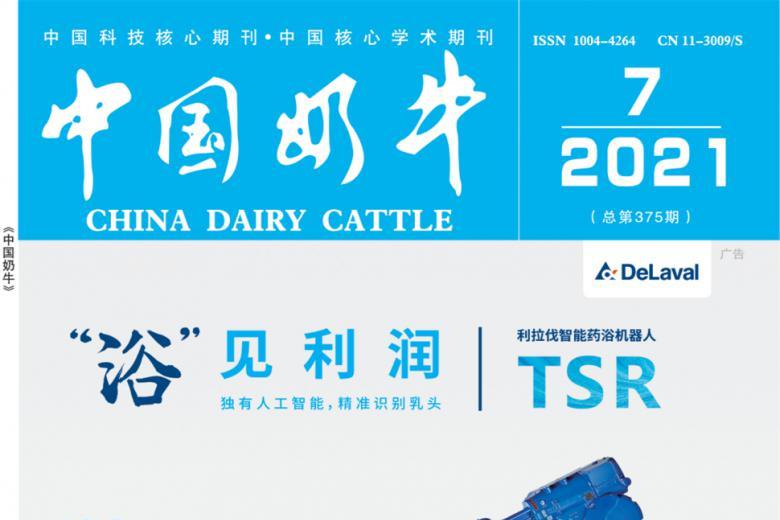中国奶牛