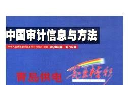 中国审计信息与方法