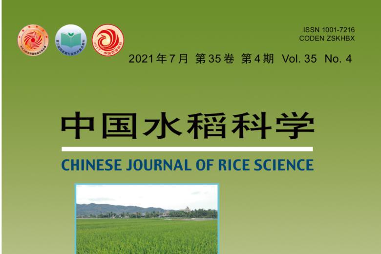 中国水稻科学