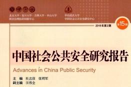 中国社会公共安全研究报告