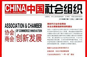 中国社会组织