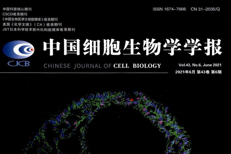 中国细胞生物学学报