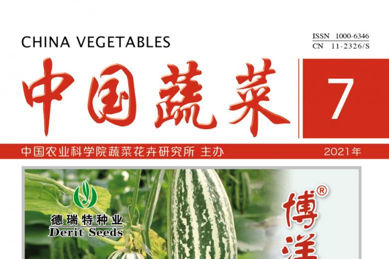 中国蔬菜