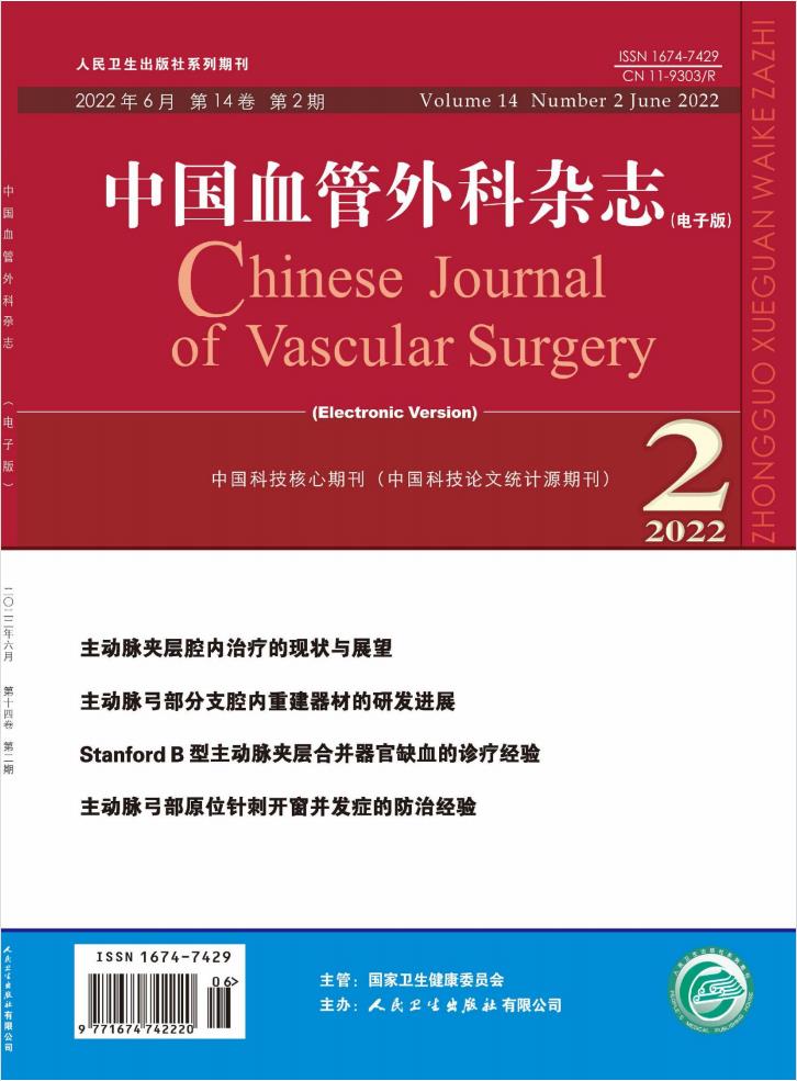 中国血管外科杂志封面
