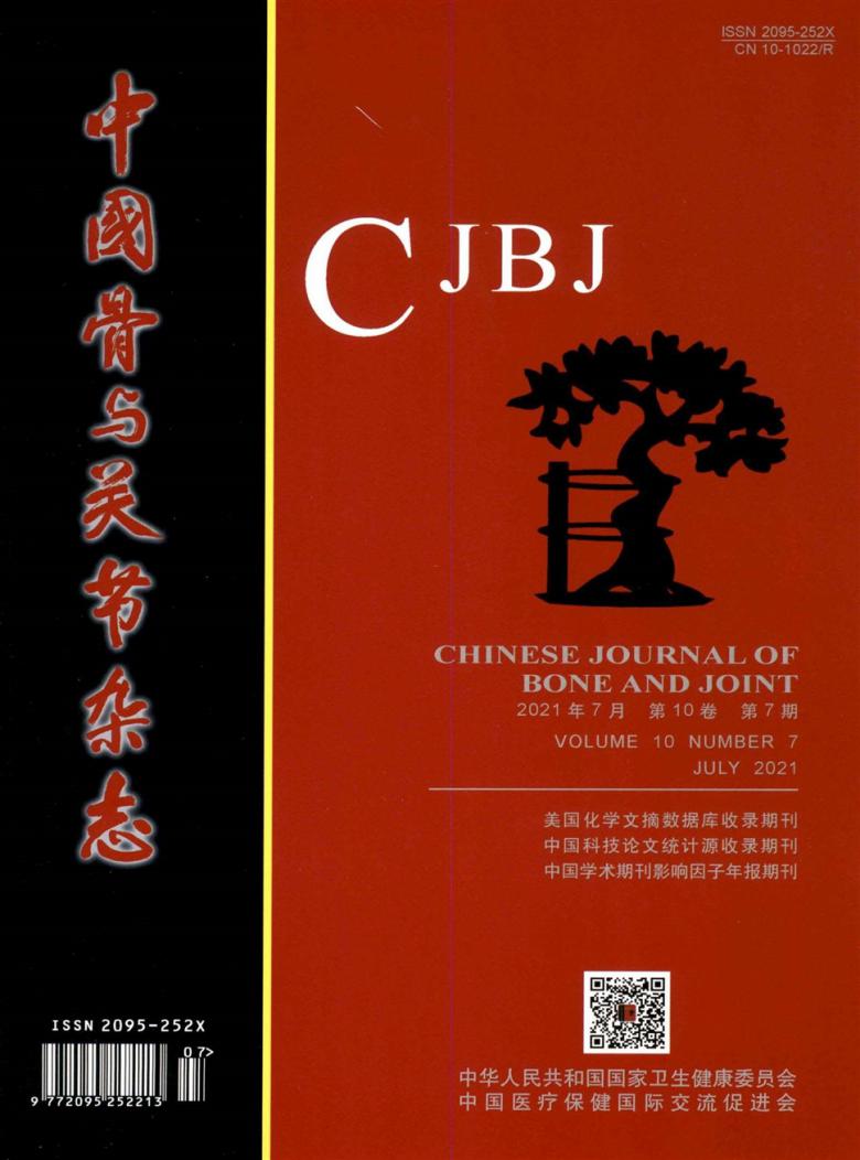 中国骨与关节杂志封面