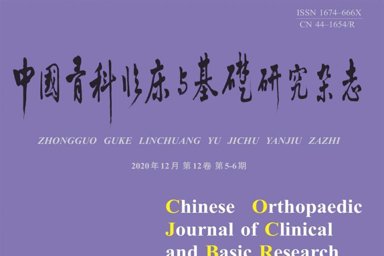 中国骨科临床与基础研究