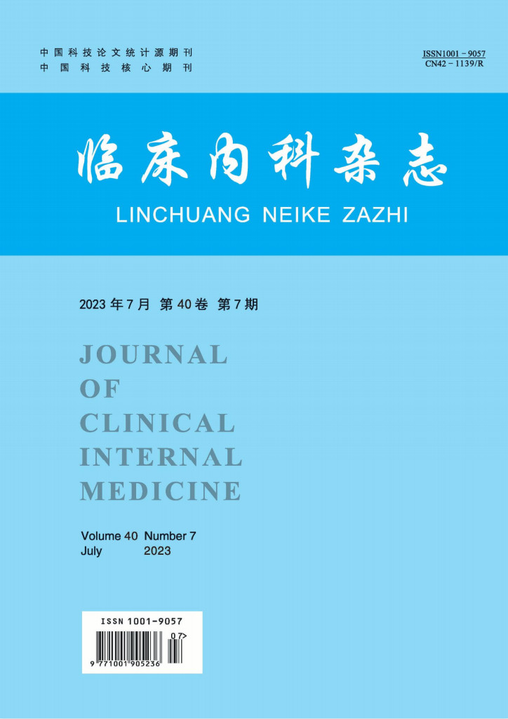 临床内科杂志杂志封面