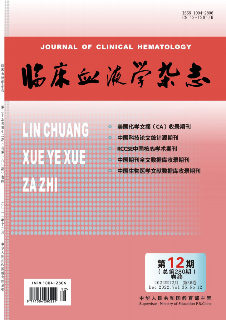 临床血液学杂志封面