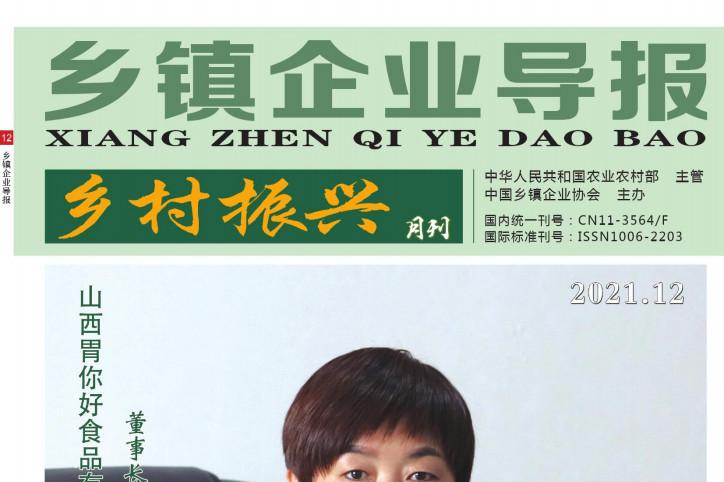 乡镇企业导报