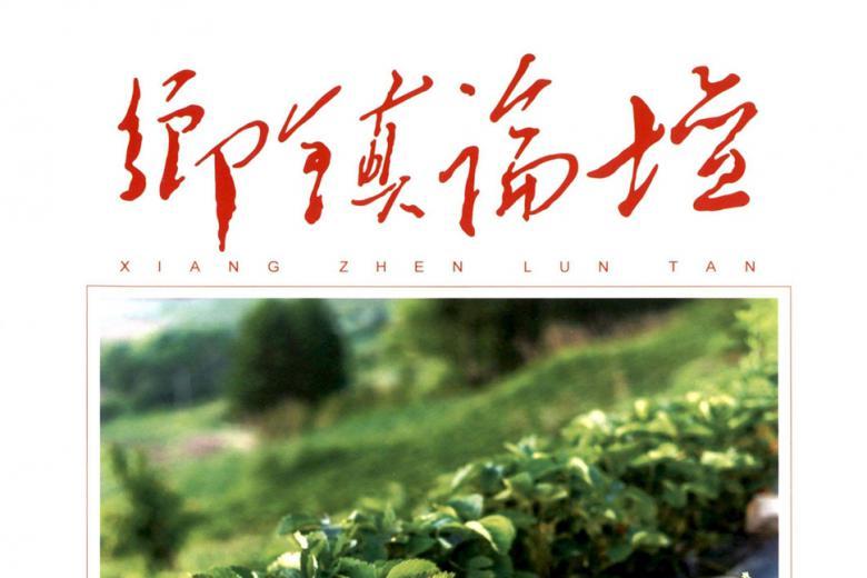 乡镇论坛