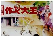 作文大王
