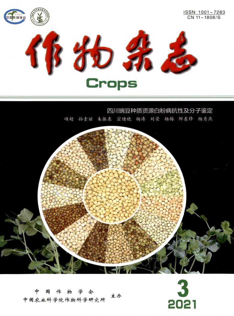 作物杂志封面