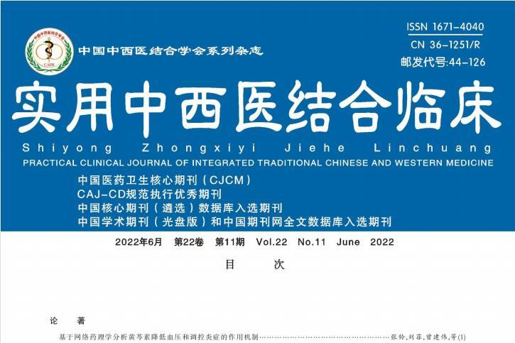 实用中西医结合临床