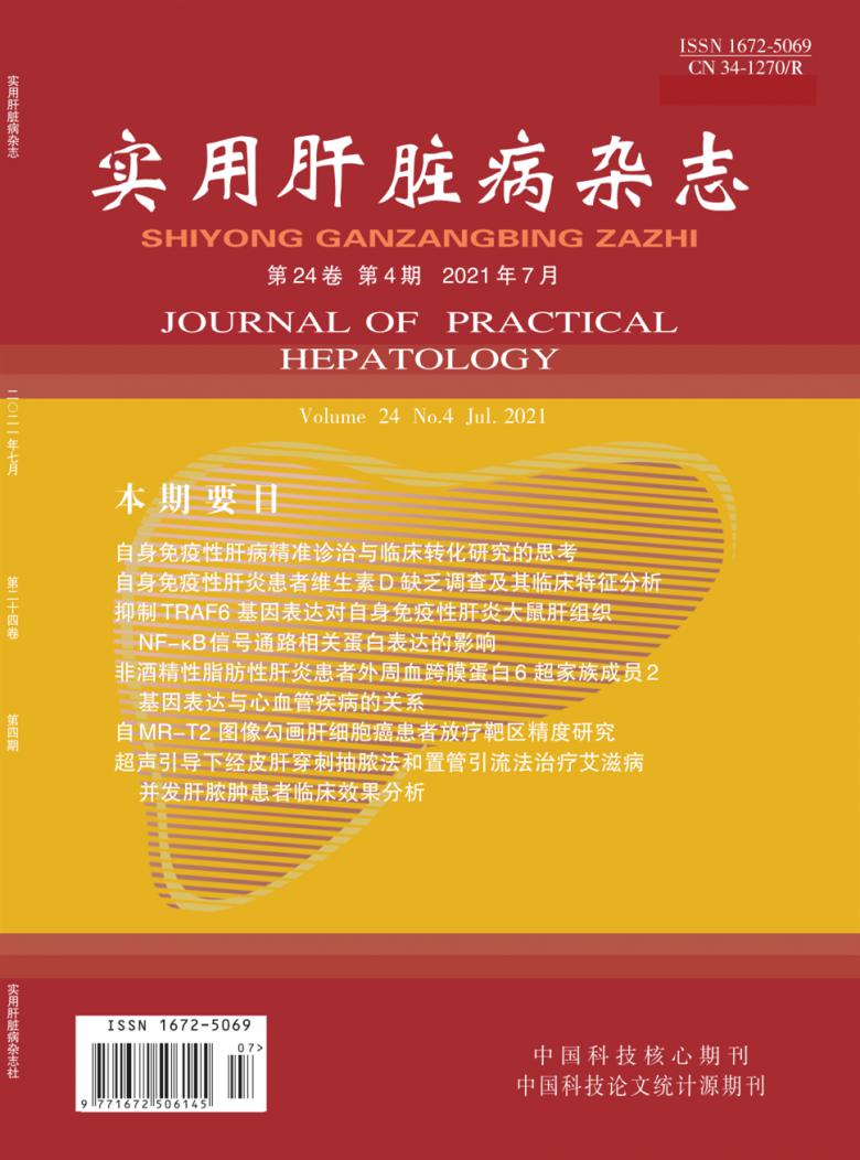 实用肝脏病杂志封面