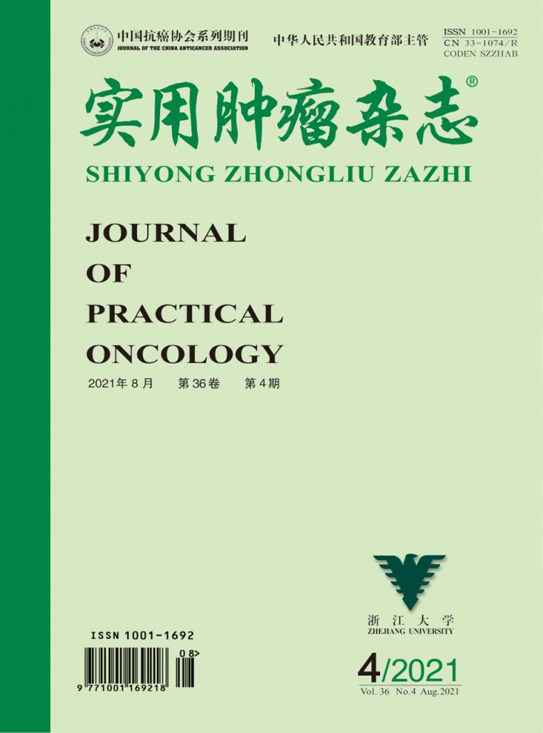 实用肿瘤杂志封面