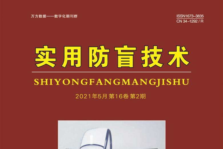 实用防盲技术