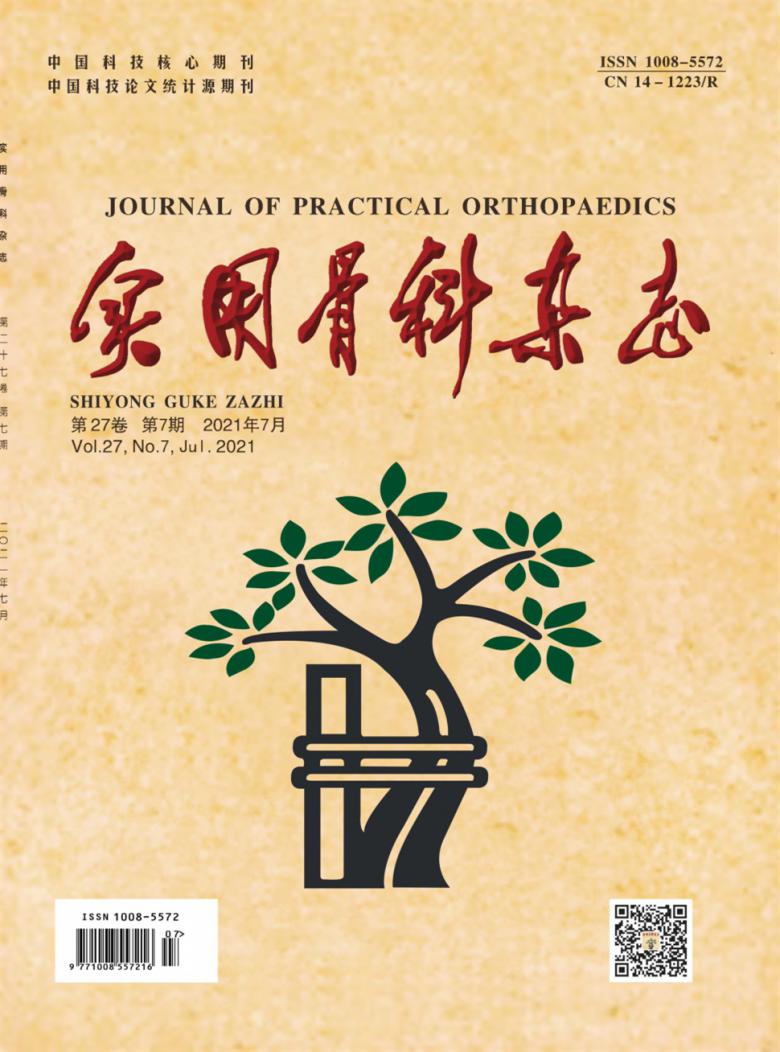 实用骨科杂志封面