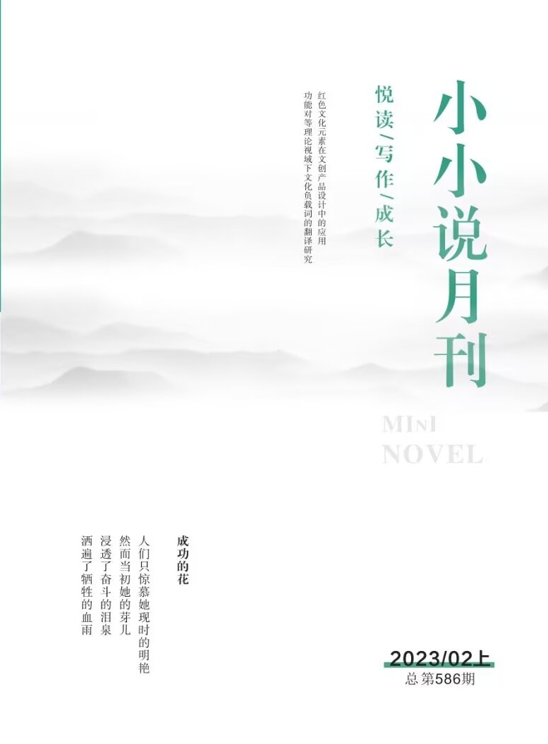 小小说月刊封面