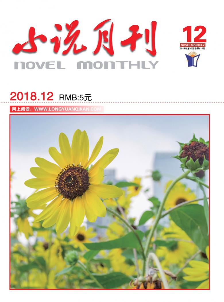 小说月刊杂志封面
