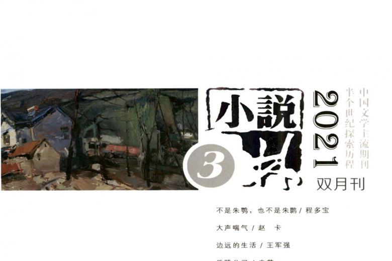 小说林