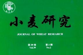 小麦研究