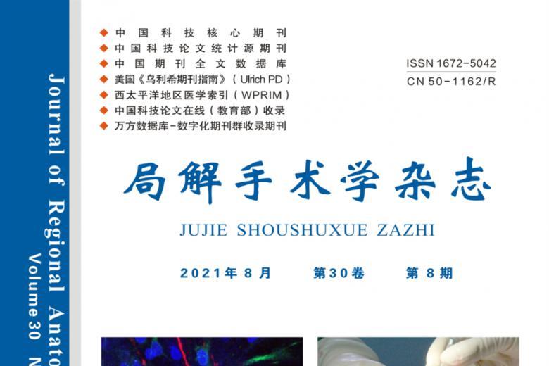 局解手术学