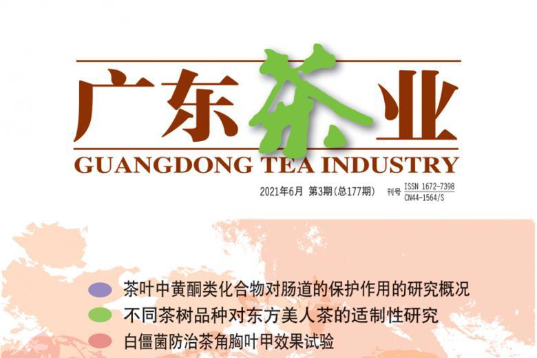 广东茶业