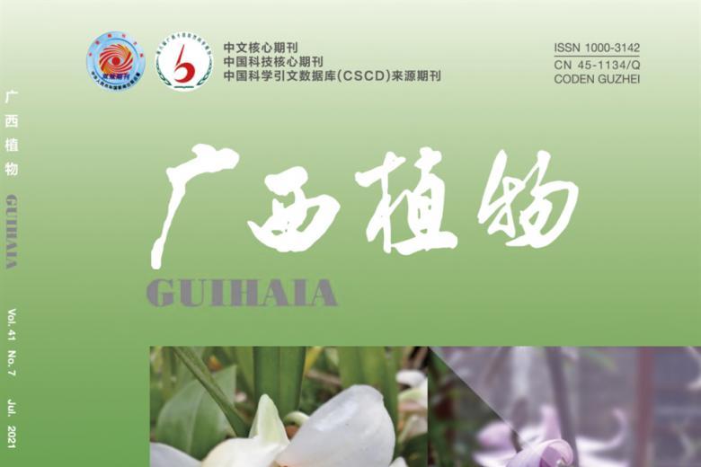 广西植物