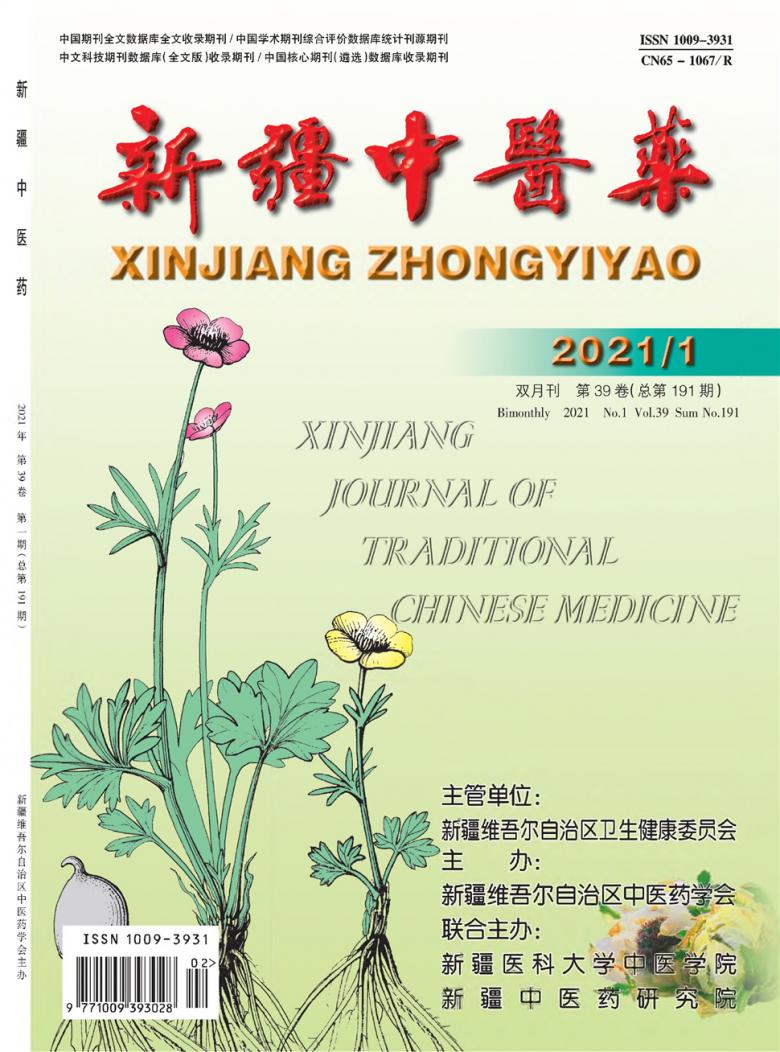 新疆中医药杂志封面