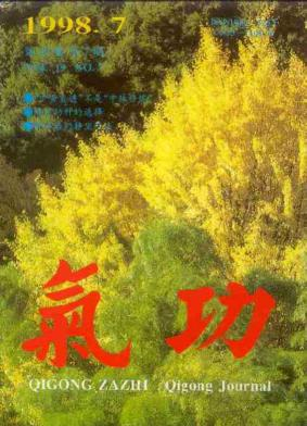 气功杂志封面