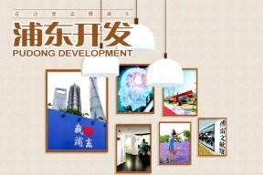 浦东开发