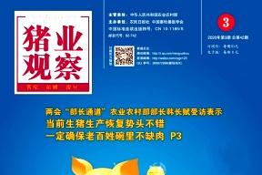 猪业观察