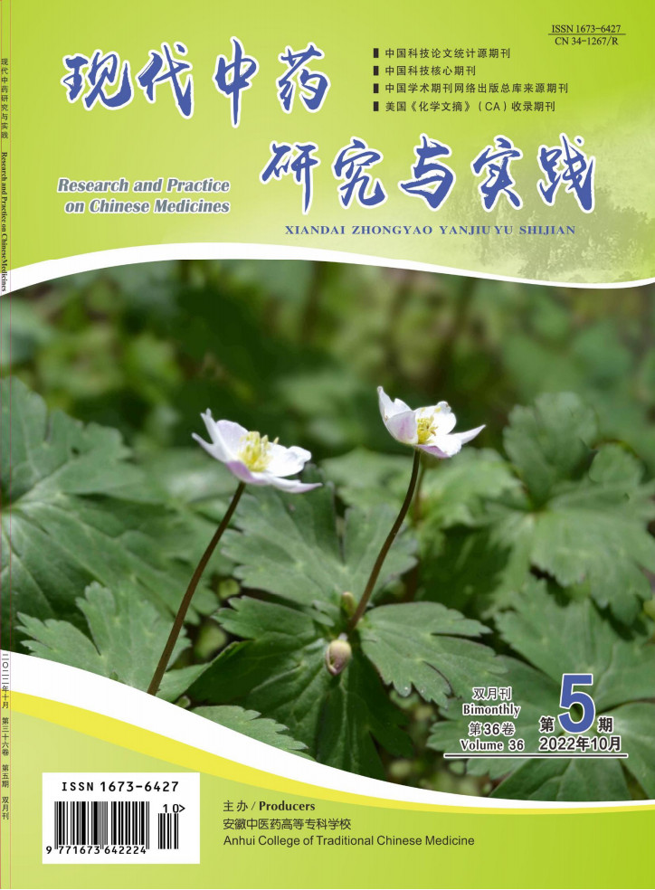 现代中药研究与实践杂志封面