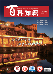 百科知识封面