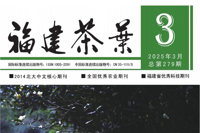 福建茶叶