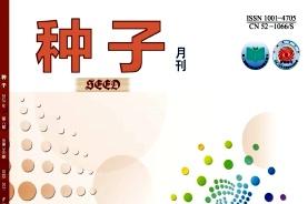 种子