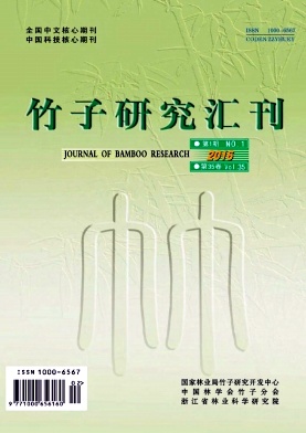 竹子研究汇刊封面