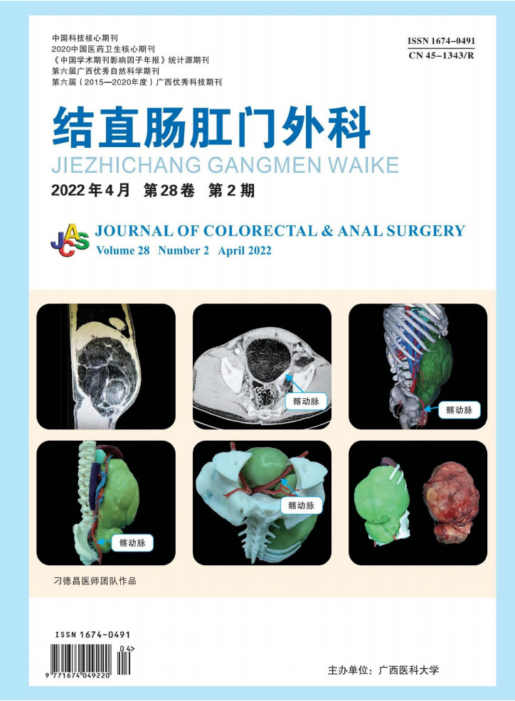 结直肠肛门外科杂志封面
