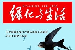 绿化与生活