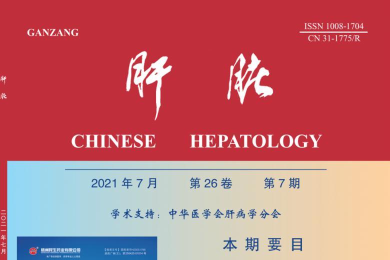 肝脏